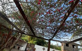 Casa de praia mosqueiro entre paraiso e marau